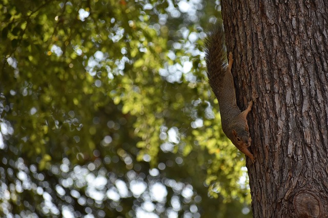 平均每场的 平均每场的