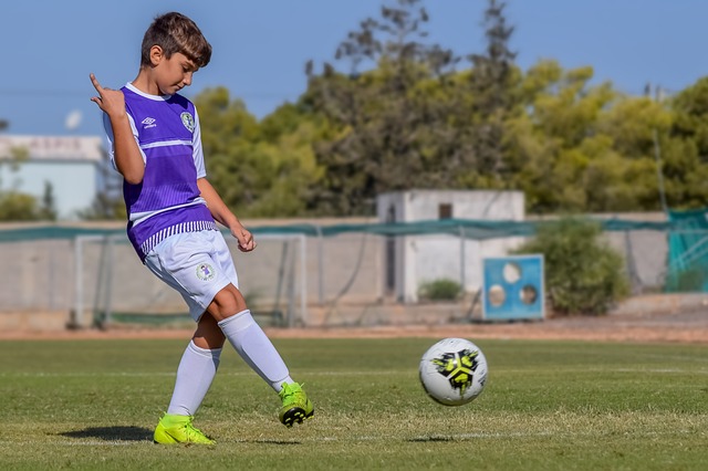 佛罗伦萨的 佛罗伦萨的