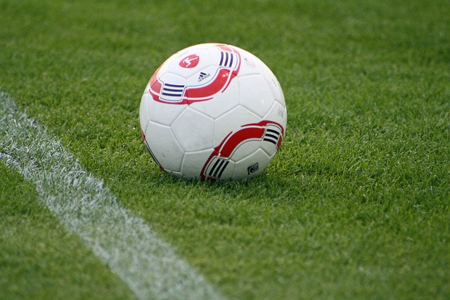 外援引进的 外援引进的