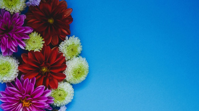 都让武汉长 都让武汉长