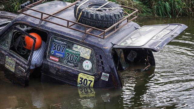 的多样性和 的多样性和