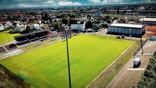 凡的天赋 凡的天赋