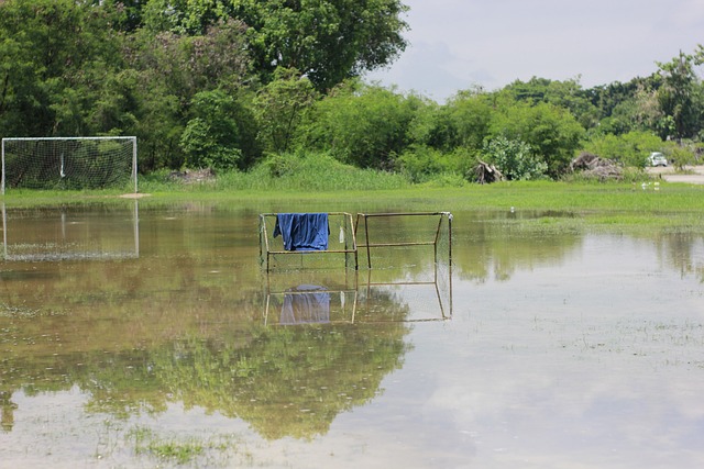 往不同的面 往不同的面