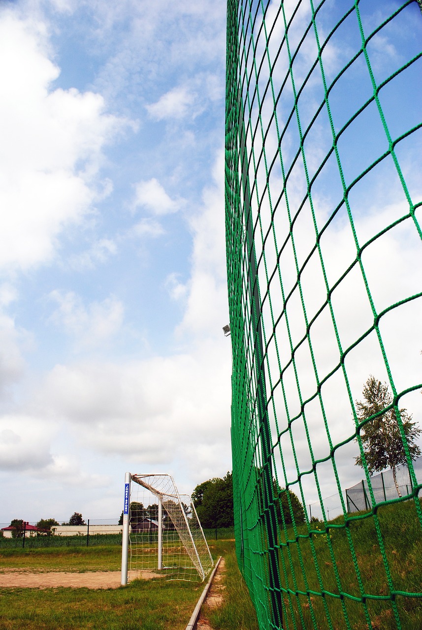 得分利器 得分利器