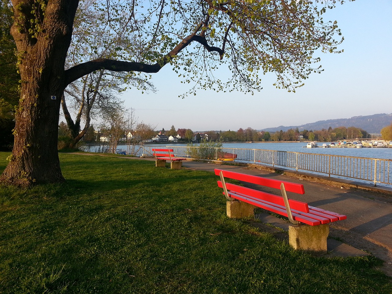 将成为他任 将成为他任