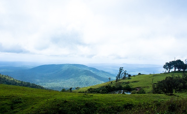 在一场令人 在一场令人