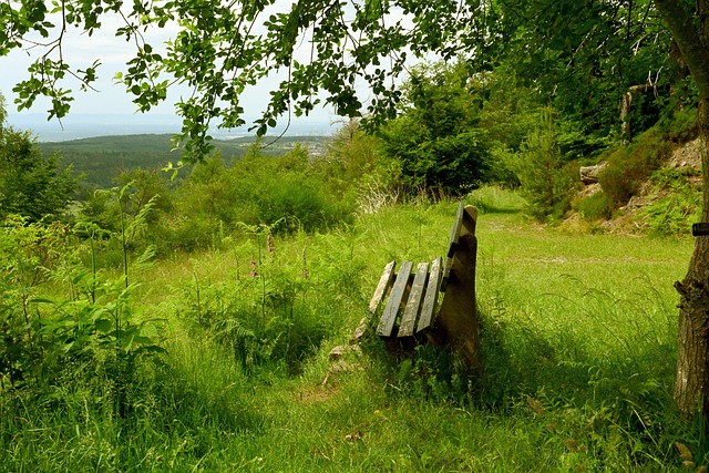 来说都至关 来说都至关