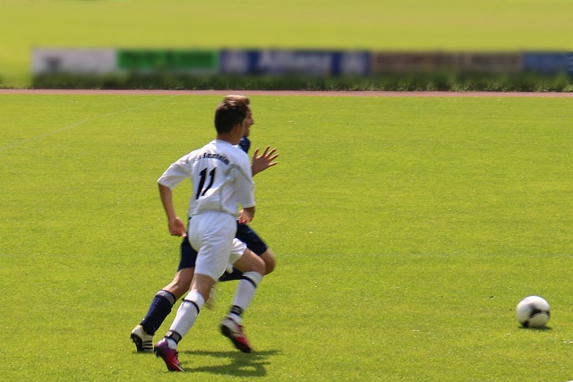 他不得不提 他不得不提