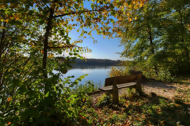 他们的比赛 他们的比赛