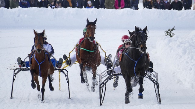 足的技术打 足的技术打