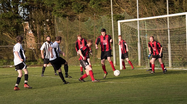 球的发展 球的发展