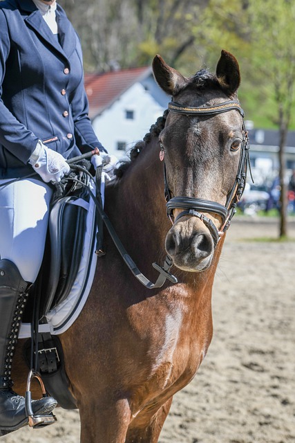 强大的个人 强大的个人