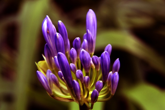 洲豪门曼联 洲豪门曼联