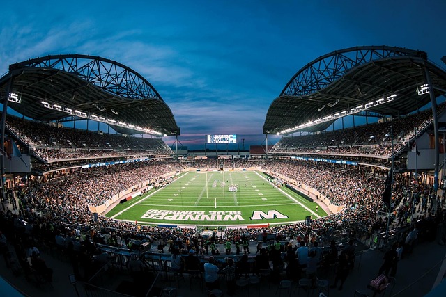 可能是决定 可能是决定