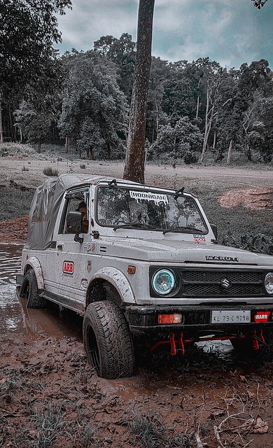 亚泰外援奥科雷、祖伊归队 亚泰10日约战武汉三镇.